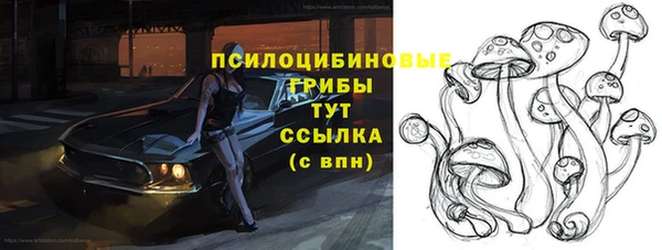 твердый Верхний Тагил