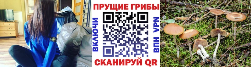Галлюциногенные грибы ЛСД  гидра зеркало  дарк нет состав  Егорьевск 
