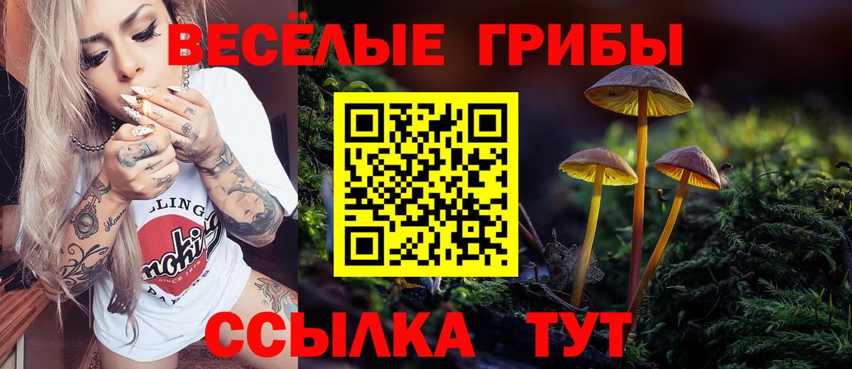 Галлюциногенные грибы MAGIC MUSHROOMS  Вход с VPN  Егорьевск 
