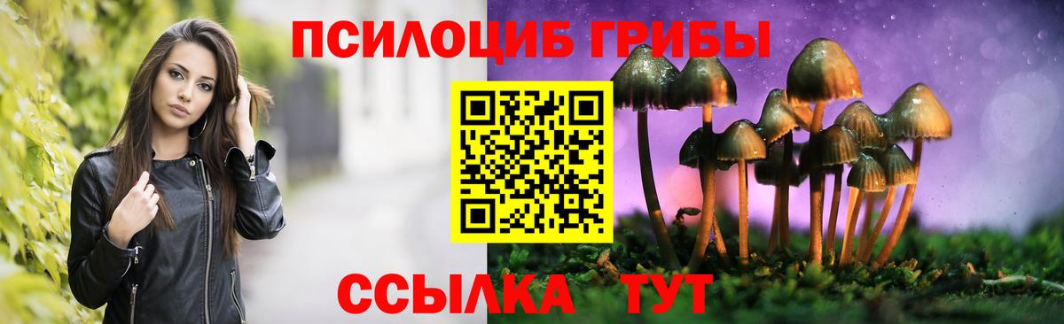 Галлюциногенные грибы Cubensis Егорьевск